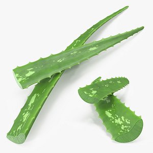 3D leaves aloe vera