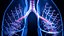 Lung Damage and Lung Cancer Progression Animation