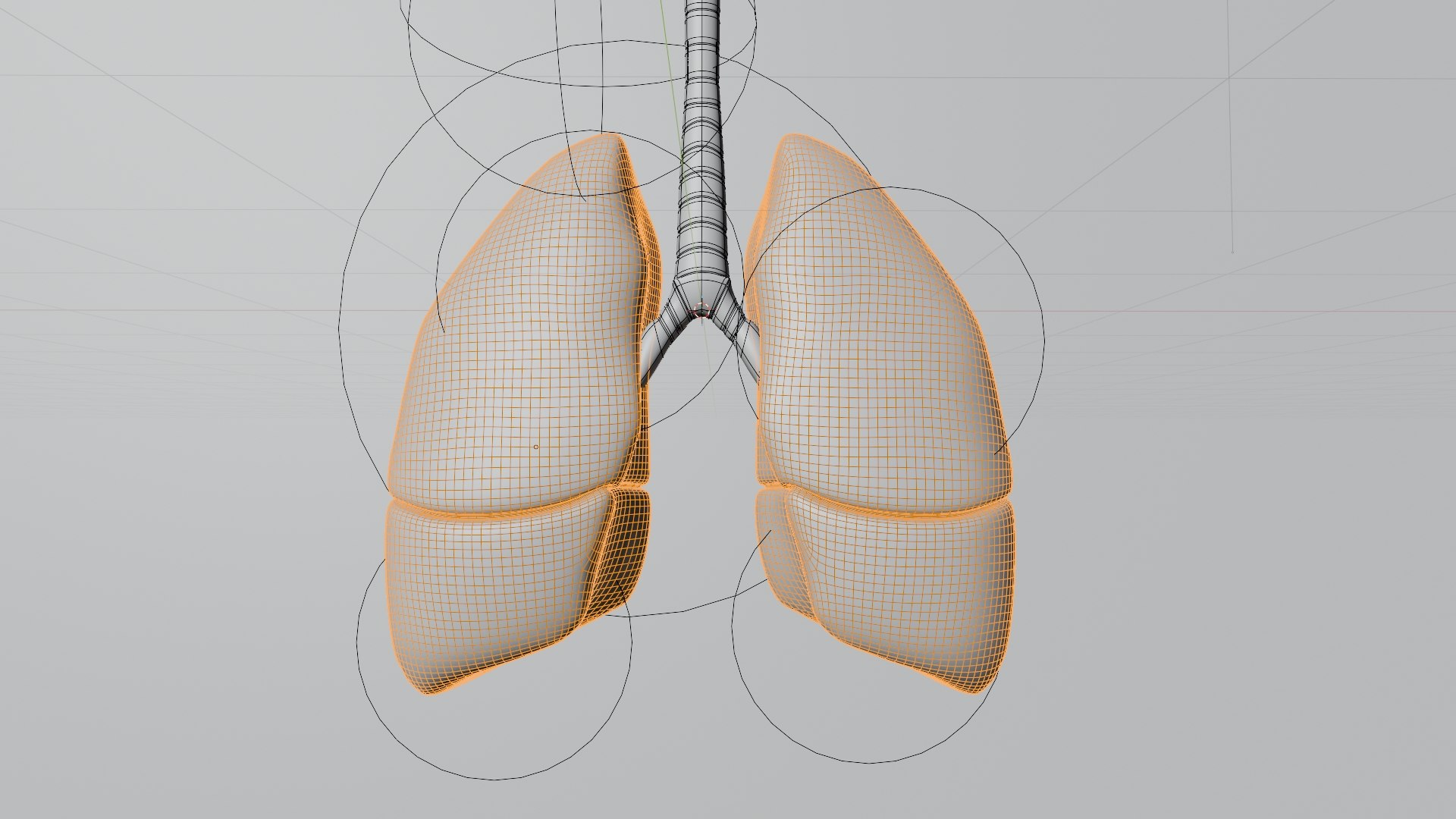 Lung Damage and Lung Cancer Progression Animation 3D model https://p.turbosquid.com/ts-thumb/PC/FKh3M5/pS/veiw/jpg/1773581282/1920x1080/fit_q87/84e2b4329d8c8344403674822ad00f1ddcaff6f1/veiw.jpg
