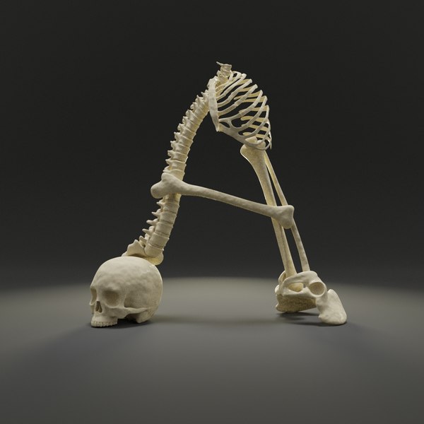 Free Blender Bone Models | TurboSquid