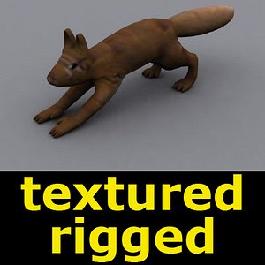 squirrel