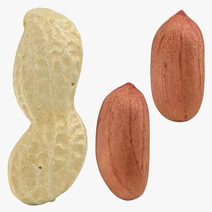 Peanut and Peanut Shell Collection 3 3D model