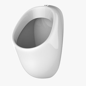 public bidet urinal toilet model