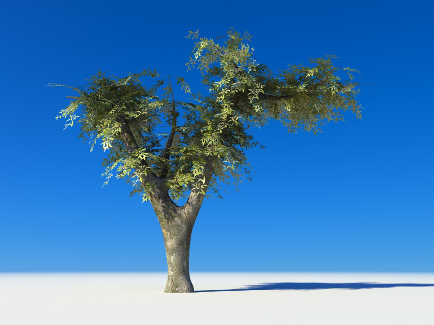 3d tree cherry https://p.turbosquid.com/ts-thumb/PC/z915t3/gGPtifD0/01/jpg/1400532589/1920x1080/fit_q87/1a64b81458ce62f37849f457509c0023c16cfa68/01.jpg