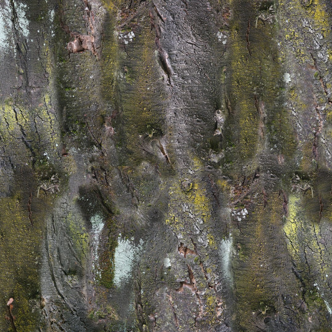 3d tree cherry https://p.turbosquid.com/ts-thumb/PC/z915t3/jG5fObNf/cherrywood/jpg/1400533050/1920x1080/fit_q87/46a122ef5677dc62899d6685c3968a004b796244/cherrywood.jpg