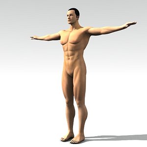 man body 3d model