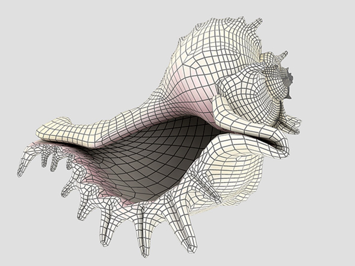 3d model seashell shell sea https://p.turbosquid.com/ts-thumb/PD/6PegGE/3ffMW1sZ/murex_11/jpg/1289436981/1920x1080/fit_q87/389be1d8f94053490a48b1211a2782e5f1d0e307/murex_11.jpg