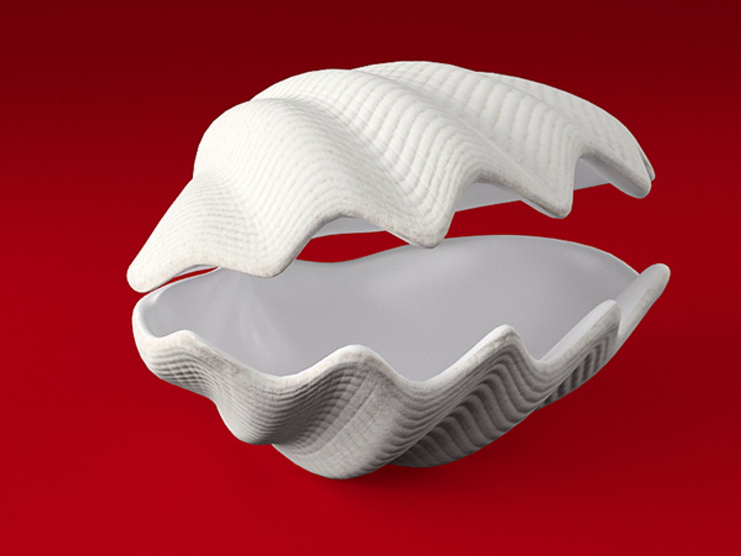 3d model seashell shell sea https://p.turbosquid.com/ts-thumb/PD/6PegGE/AJAHGbYv/tr_01/jpg/1289436982/1920x1080/fit_q87/51e313488a80697280660cc732ba24467a4c33b9/tr_01.jpg
