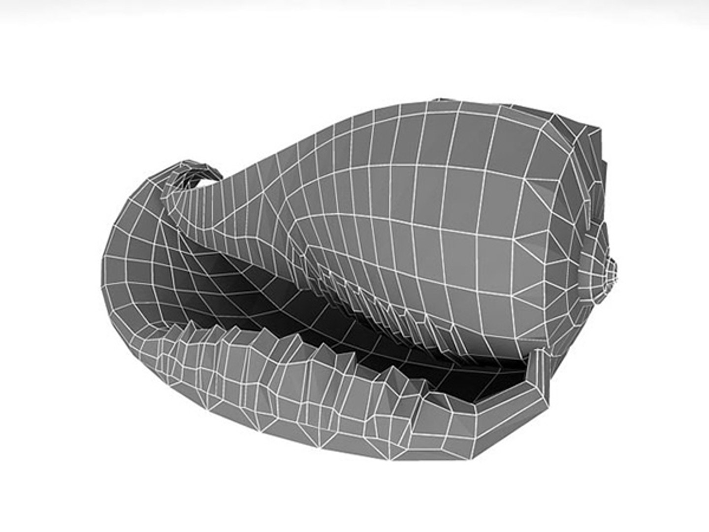 3d model seashell shell sea https://p.turbosquid.com/ts-thumb/PD/6PegGE/FV2j3PNo/cassis_07/jpg/1289436981/1920x1080/fit_q87/da5b7f5d5854a64b03266a2d2dff5be779499f4e/cassis_07.jpg