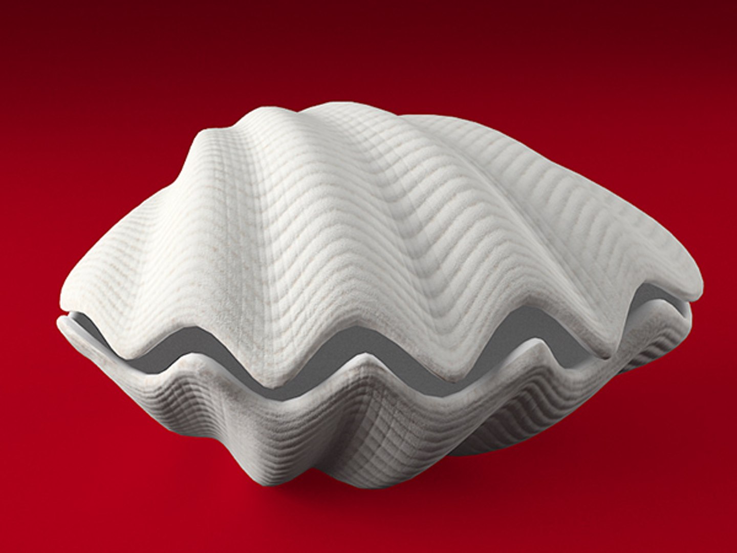 3d model seashell shell sea https://p.turbosquid.com/ts-thumb/PD/6PegGE/TfDjxcUO/tr_02/jpg/1289436982/1920x1080/fit_q87/bd444ae677a5935fb9619da4e5ca3712ec644903/tr_02.jpg