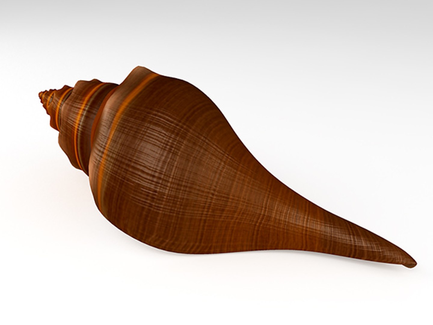 3d model seashell shell sea https://p.turbosquid.com/ts-thumb/PD/6PegGE/cUEGxQjh/horse_conch_03/jpg/1289436981/1920x1080/fit_q87/1bd9ec013683ccfb123628a15c5f016eb501f1e8/horse_conch_03.jpg