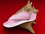 Seashells Pack-1