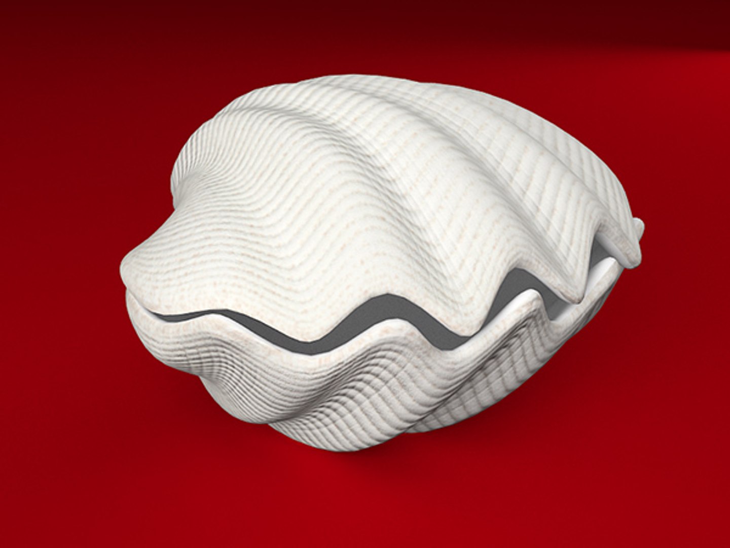 3d model seashell shell sea https://p.turbosquid.com/ts-thumb/PD/6PegGE/tgcapnhN/tr_05/jpg/1289436982/1920x1080/fit_q87/593ad89bf7509a6a7c43d921a52be00e94772783/tr_05.jpg