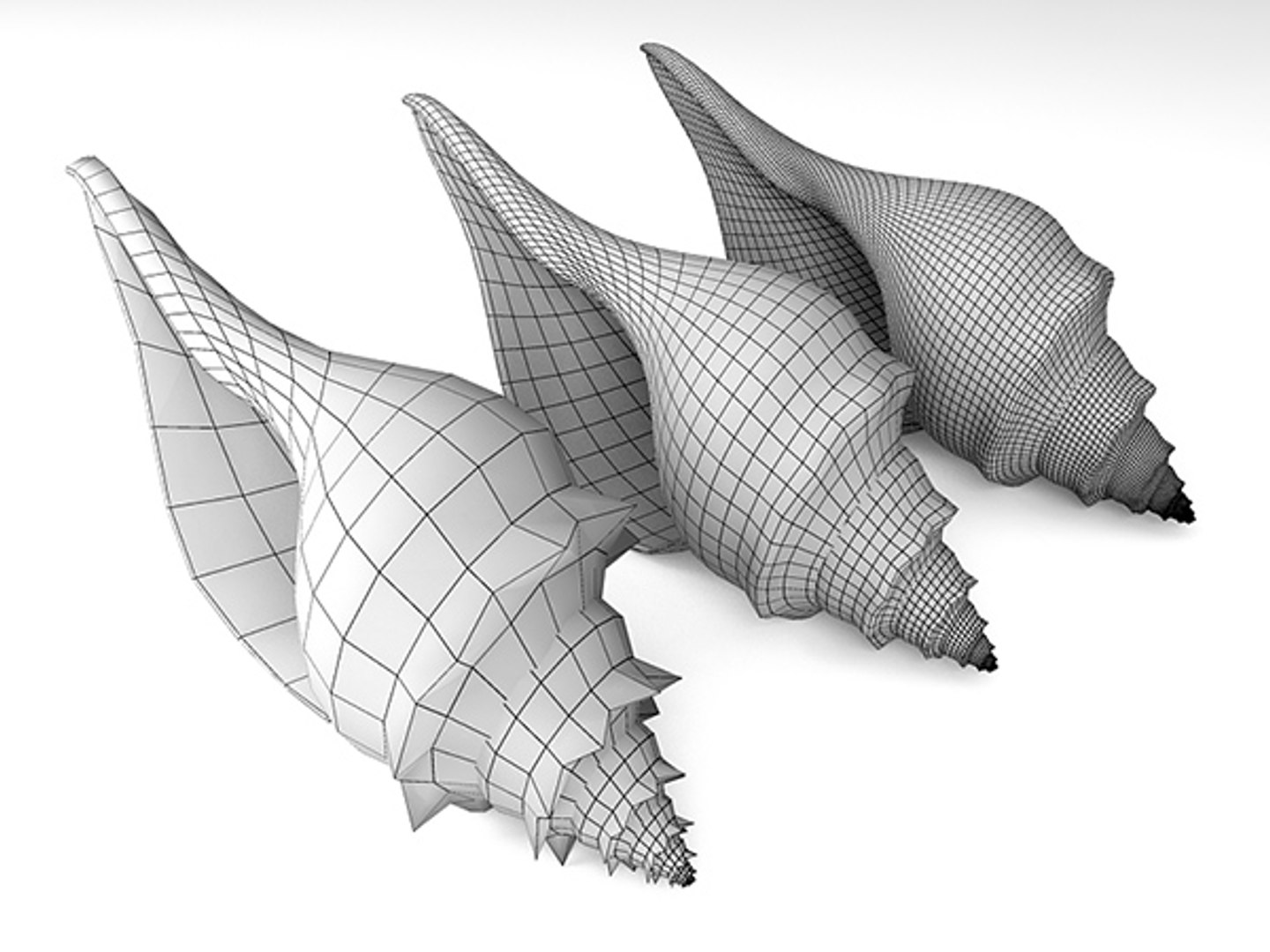 3d model seashell shell sea https://p.turbosquid.com/ts-thumb/PD/6PegGE/tzUuQAcJ/horse_conch_06/jpg/1289436981/1920x1080/fit_q87/e102501e0436a5f343da3dcad76863ff6e0b5ece/horse_conch_06.jpg