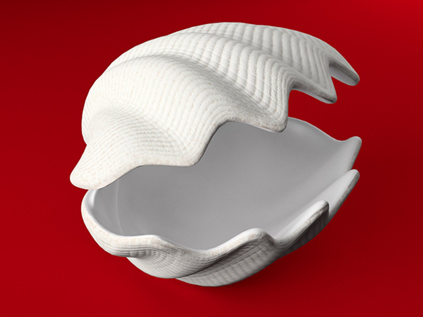 3d model seashell shell sea https://p.turbosquid.com/ts-thumb/PD/6PegGE/ubEndsIg/tr_04/jpg/1289436982/1920x1080/fit_q87/1ccaa1162b2028f605e6a835fd39112d671fd581/tr_04.jpg