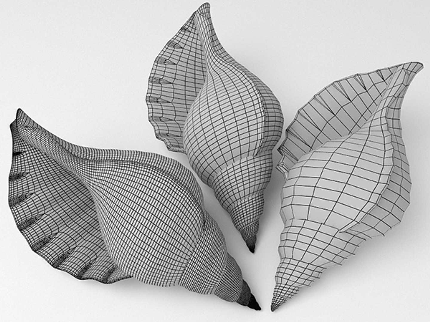 3d model seashell shell sea https://p.turbosquid.com/ts-thumb/PD/6PegGE/wENUWC6p/ch2_09/jpg/1289436981/1920x1080/fit_q87/9829b83a040c07f7fe169bf154444317fdb79187/ch2_09.jpg