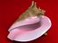 Seashells Pack-1