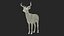 White-Tailed Deer 3D model