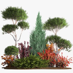 Garden Of Nivaki Thuja Juniper And Barberry  1178