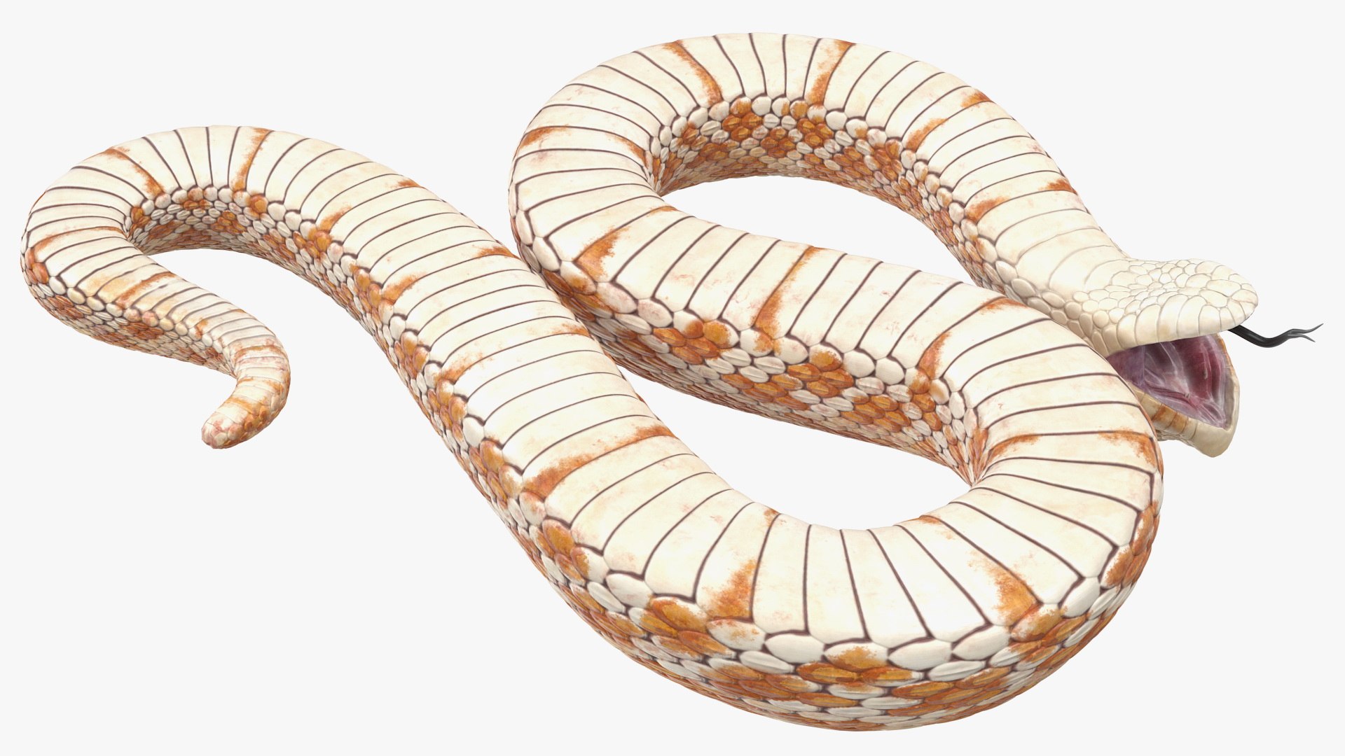 3D Printable Hognose Snake by Momo