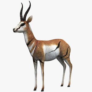 antelope 3d model