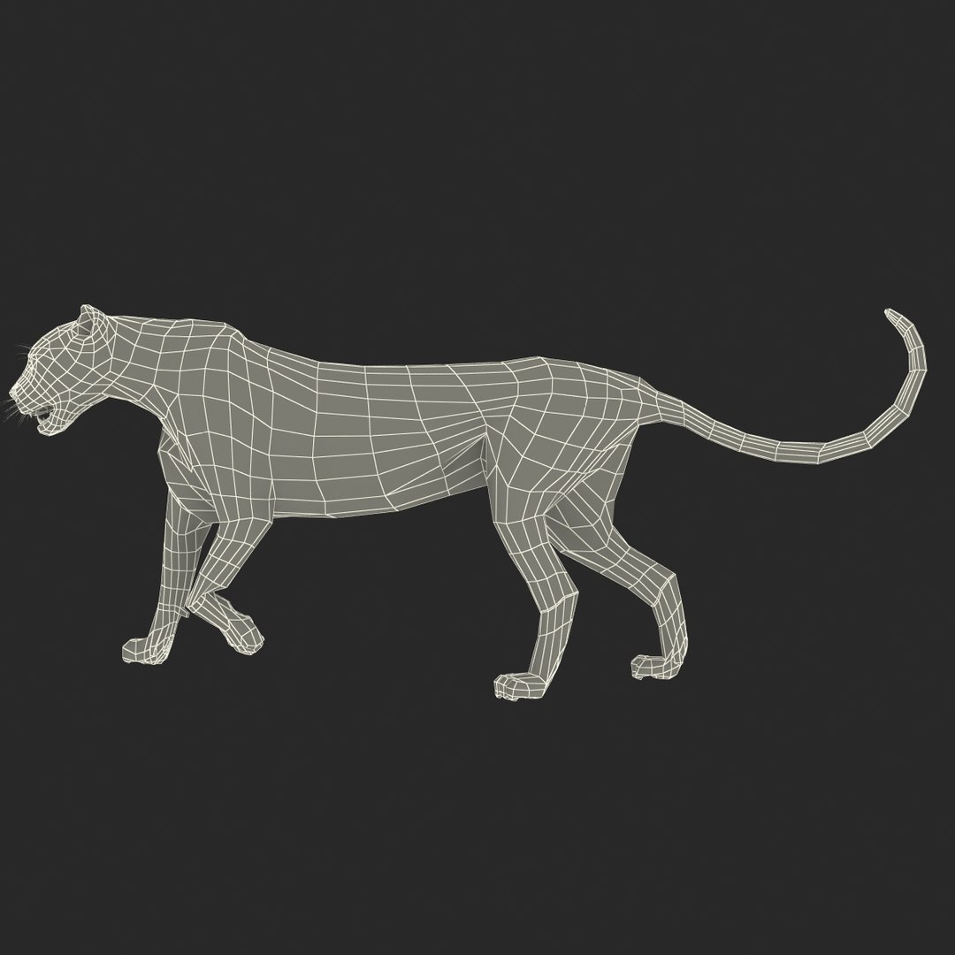cheetah 2 pose 1 3d model https://p.turbosquid.com/ts-thumb/PD/ry4SrY/3MTA4wqr/cheetah2pose1fur_5/jpg/1411049722/1920x1080/fit_q87/a1f45011fa737528f23392aca5507eb03e5ed585/cheetah2pose1fur_5.jpg