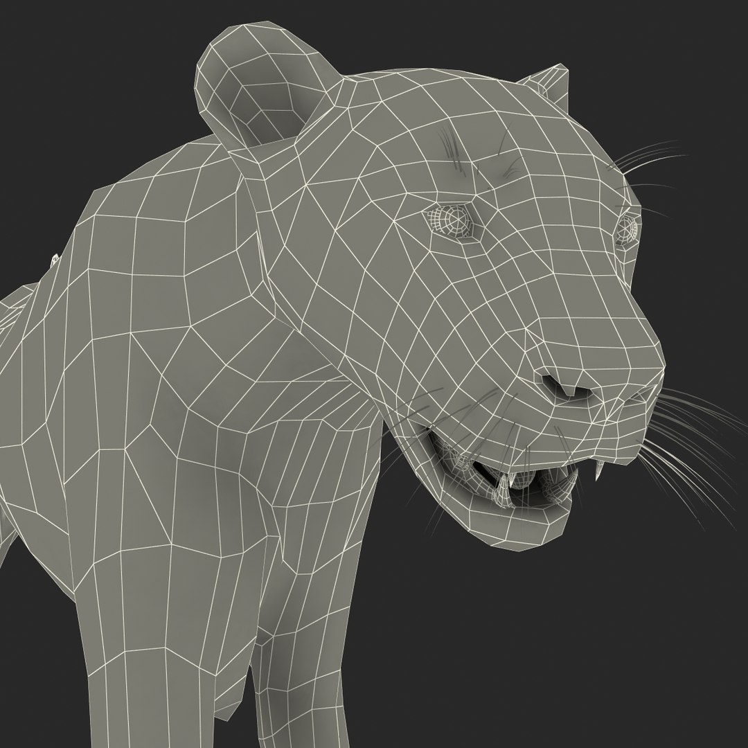 cheetah 2 pose 1 3d model https://p.turbosquid.com/ts-thumb/PD/ry4SrY/7PC4zlT9/cheetah2pose1fur_16/jpg/1411049783/1920x1080/fit_q87/a3626354d7c1a0a9183c1e1257310eb3c308d009/cheetah2pose1fur_16.jpg