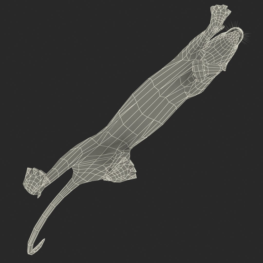 cheetah 2 pose 1 3d model https://p.turbosquid.com/ts-thumb/PD/ry4SrY/98BdCeqE/cheetah2pose1fur_12/jpg/1411049776/1920x1080/fit_q87/ead3360f5e888d9568c0826da36d6ad46f491107/cheetah2pose1fur_12.jpg