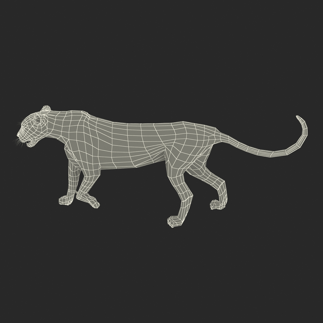 cheetah 2 pose 1 3d model https://p.turbosquid.com/ts-thumb/PD/ry4SrY/FCr36LB6/turntablefile_361/jpg/1411049873/1920x1080/turn_fit_q99/f33a47bffa721ba2727b663664d9d4a783b82d75/turntablefile_361-1.jpg