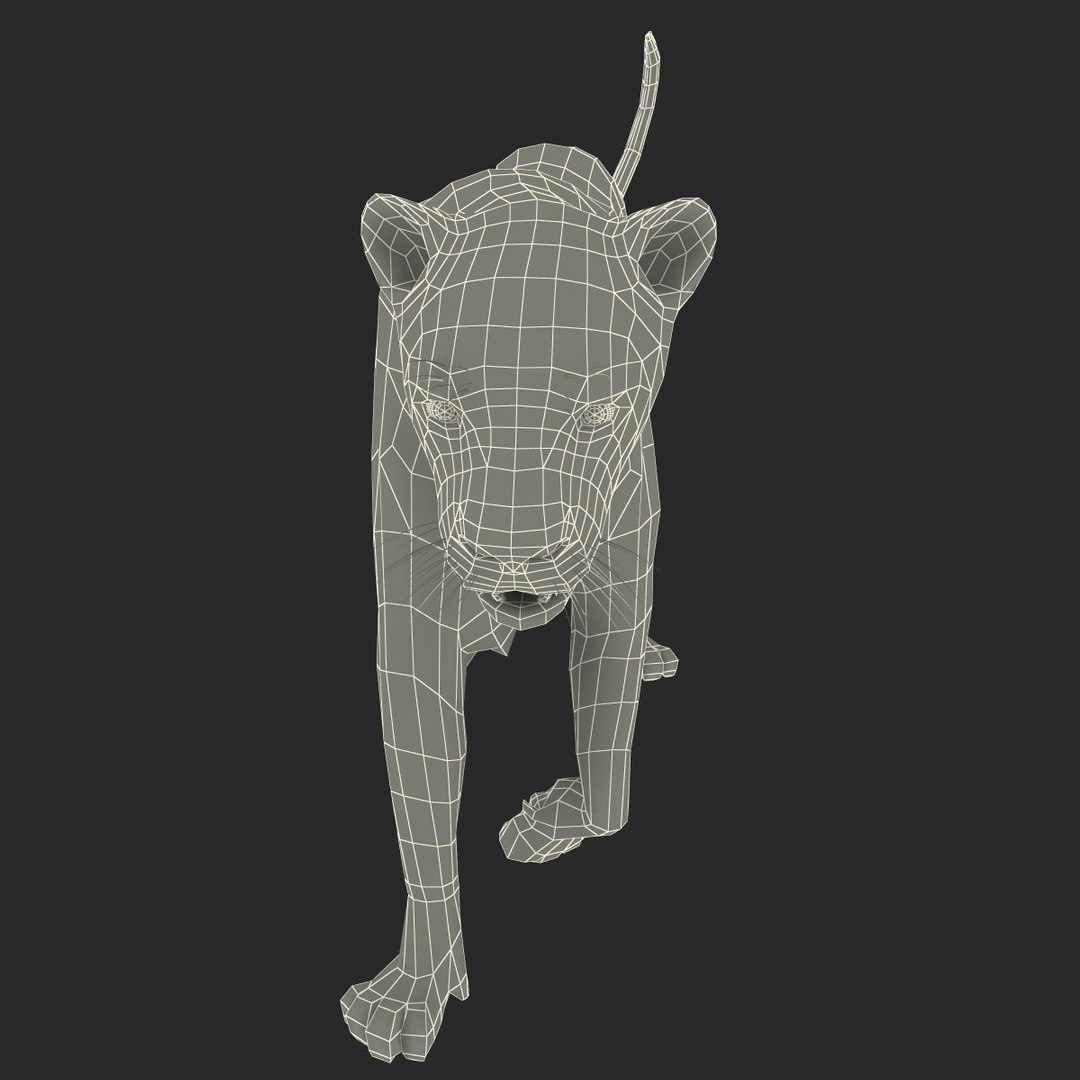 cheetah 2 pose 1 3d model https://p.turbosquid.com/ts-thumb/PD/ry4SrY/WqEjdlcP/cheetah2pose1fur_3/jpg/1411049765/1920x1080/fit_q87/4d53d30dc3a91ae9d19ad2671bc858f1b642c03a/cheetah2pose1fur_3.jpg