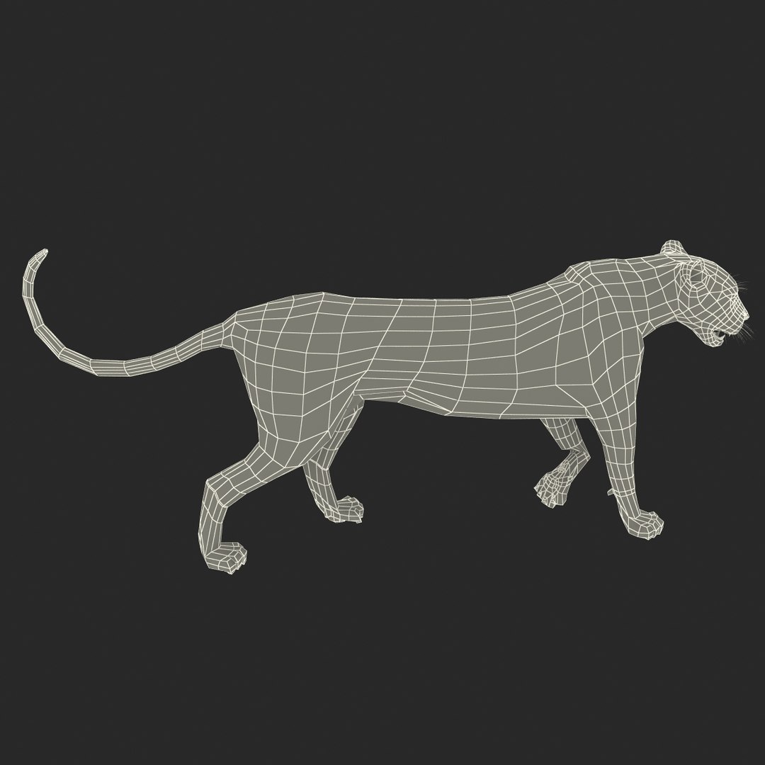cheetah 2 pose 1 3d model https://p.turbosquid.com/ts-thumb/PD/ry4SrY/q9TtKGla/cheetah2pose1fur_8/jpg/1411049727/1920x1080/fit_q87/c497bff128d06591cf544ad3a2387a13807562b4/cheetah2pose1fur_8.jpg