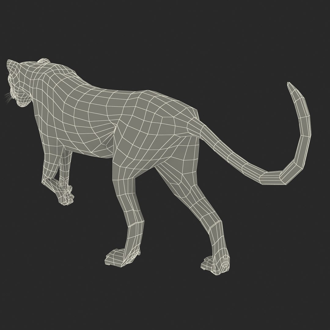 cheetah 2 pose 1 3d model https://p.turbosquid.com/ts-thumb/PD/ry4SrY/tdvBGI3U/cheetah2pose1fur_18/jpg/1411049746/1920x1080/fit_q87/aee9cb8312cff65ef70cf19c83f0828ad66ac970/cheetah2pose1fur_18.jpg