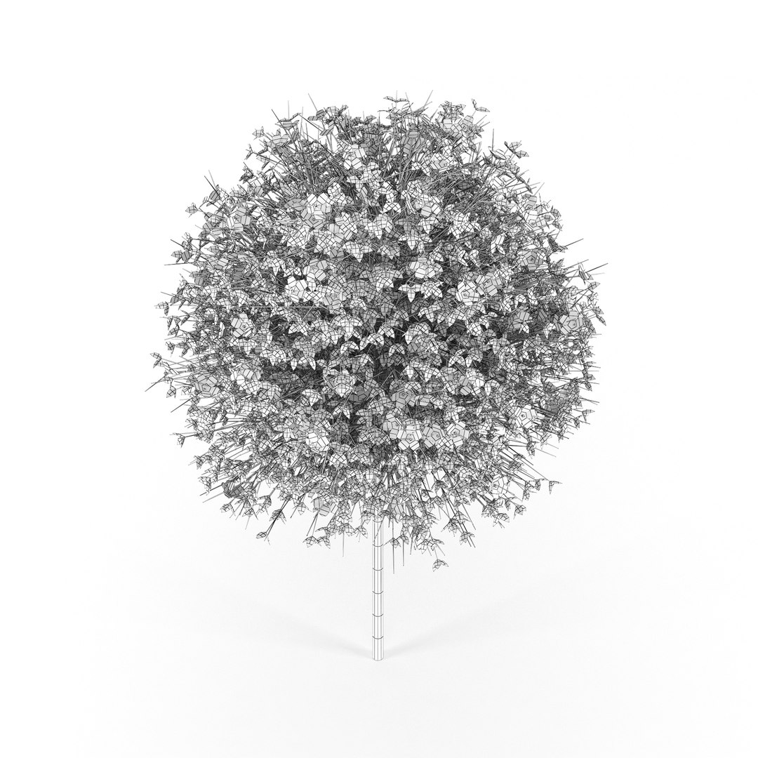 Hibiscus 3D Model - TurboSquid 1321153