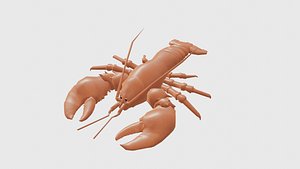 lobster 3D model