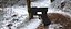 Conceptual gun 6