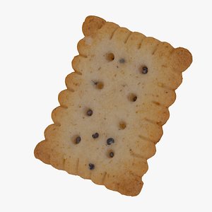 cracker rectangular 01 raw 3D