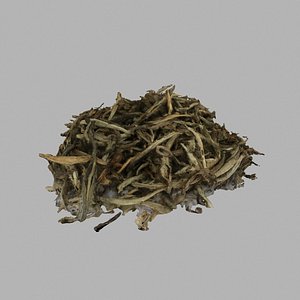 White Tea Leaves Golden Tips