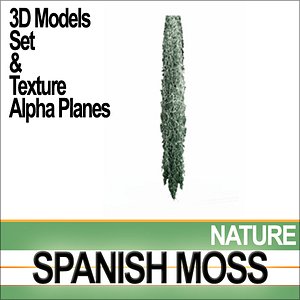 spanish moss complete set 3d obj