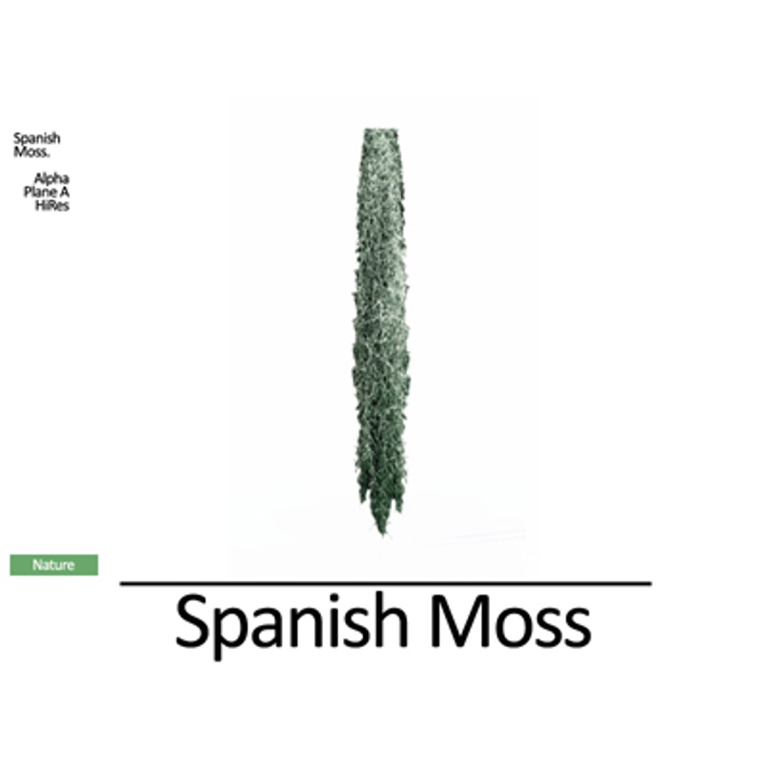 Spanish Moss Complete Set 3d Obj