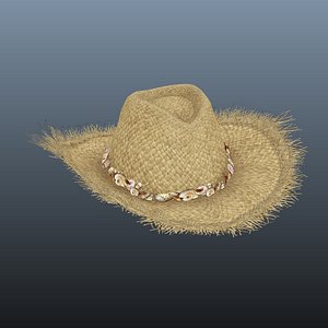 3d model straw hat