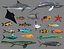 Low poly Fish Collection Animated - Game Ready Pack 4