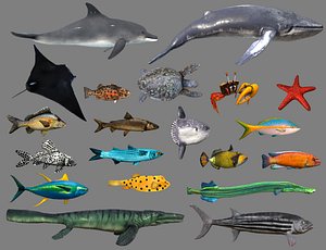 Low poly Fish Collection Animated - Game Ready Pack 4