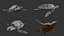 Low poly Fish Collection Animated - Game Ready Pack 4