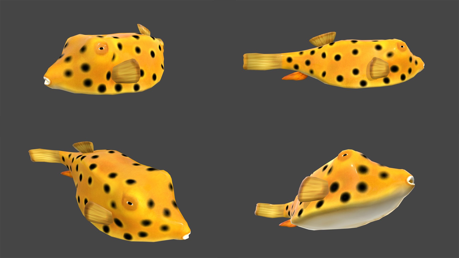 fish 4 games 3D https://p.turbosquid.com/ts-thumb/PE/bQK4Ms/98kyvmly/_0005__0017_layer2/jpg/1537605013/1920x1080/fit_q87/2221af50ea85747ea0471cfa824e1af178088ea3/_0005__0017_layer2.jpg