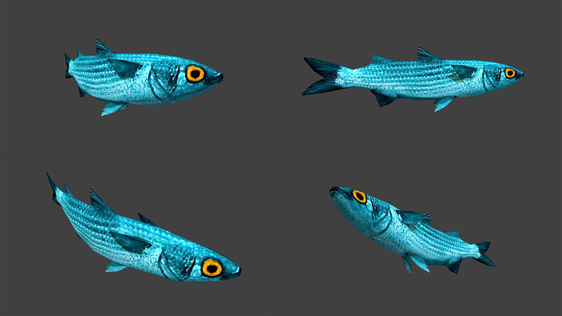 fish 4 games 3D https://p.turbosquid.com/ts-thumb/PE/bQK4Ms/LtLMir8f/_0011__0014_layer2/jpg/1537605013/1920x1080/fit_q87/ed967d6fa9249c22354e60b76fb85ee89972ef12/_0011__0014_layer2.jpg