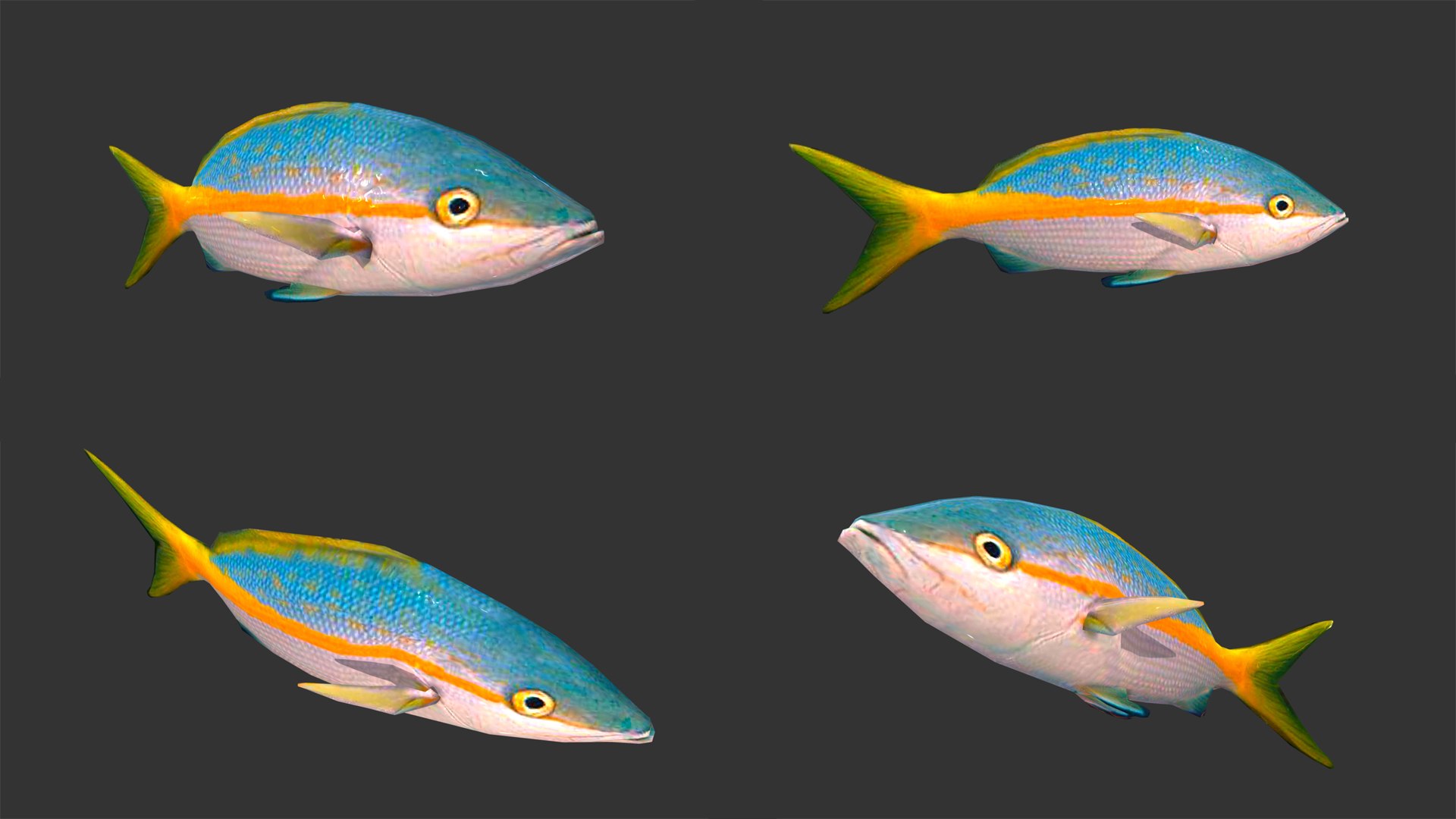 fish 4 games 3D https://p.turbosquid.com/ts-thumb/PE/bQK4Ms/melmxgNX/_0003__0011_layer6/jpg/1537605013/1920x1080/fit_q87/a7e7603cd2363d9ab36ab93b9c632f5ff7cfde34/_0003__0011_layer6.jpg