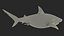 3D Pigeye Shark or Java Shark Rigged for Maya