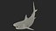 3D Pigeye Shark or Java Shark Rigged for Maya