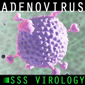 dna adenovirus virus 3d max