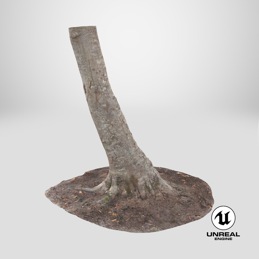 Scanned Forest Tree Trunk 07 StemCell model https://p.turbosquid.com/ts-thumb/PE/o3AtV2/d8/stemcell_unreal_render/png/1729530286/1920x1080/fit_q87/3d6cce15fa9cf795c00940d60c916ffa293e505d/stemcell_unreal_render.jpg